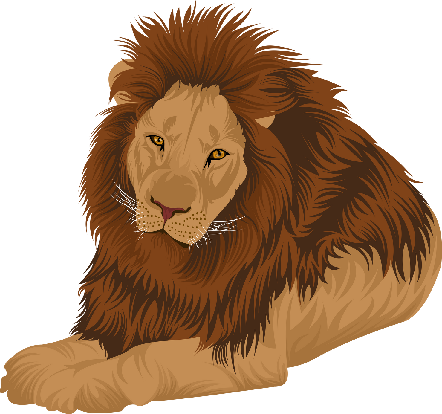 Lion King Illustration